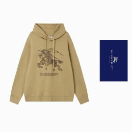 Picture of Burberry Hoodies _SKUBurberryXS-Lhltn0610263